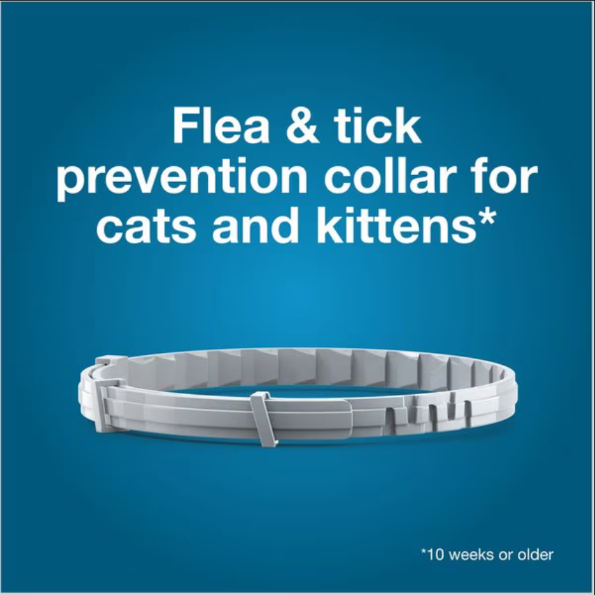 Seresto Cat Flea and tick collar, light gray segmented band with an adjustable clasp