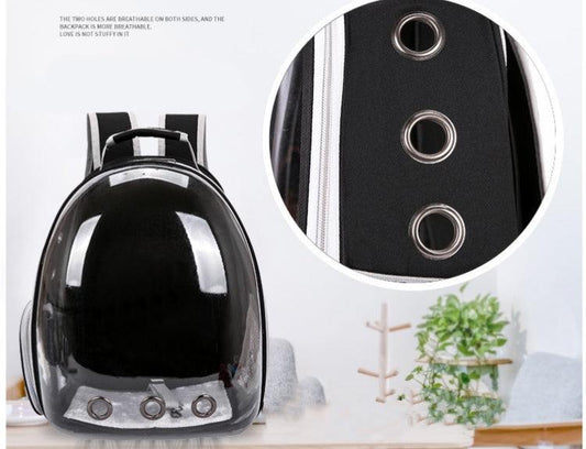 Panoramic Pet Adventure Backpack: Stylish, Spacious, and Transparent!.