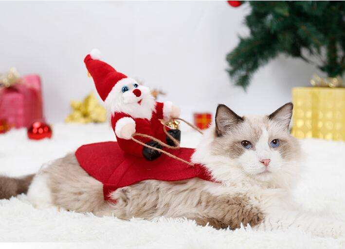 Santa's Pet Sleigh-Ride Christmas Costume.