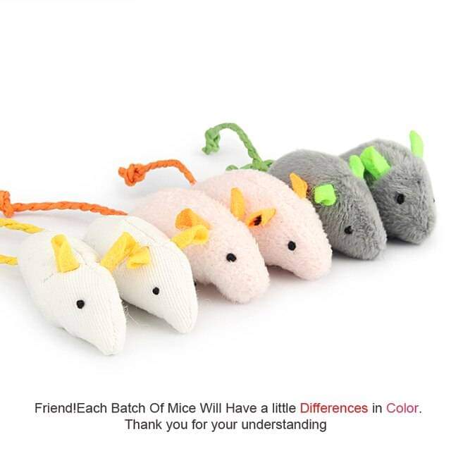 6pcs Catnip Pet Toys.
