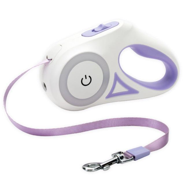 Luminova Leash: Illuminated Adventures for Your Pup.