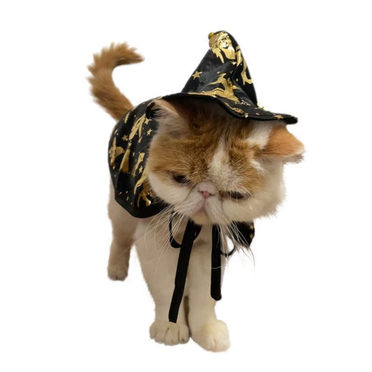 Catty Wizardry: Halloween Witch Cloak for Your Purr-fect Disguise.