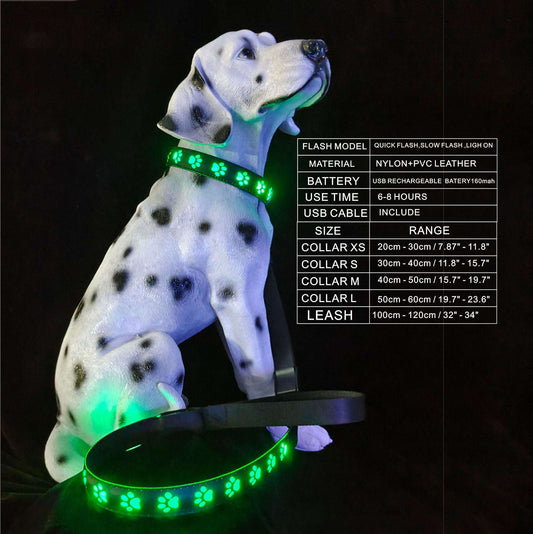 GlowGuard Pet Collar: LED Rechargeable Safety and Anti-Loss Light for Paws.