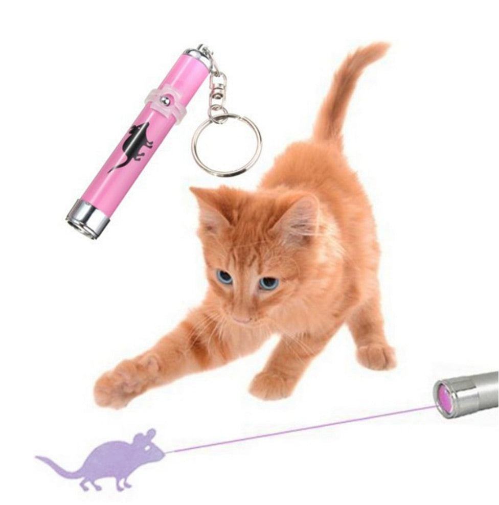 LED Pointer Pen w/ a Cat Inspired Mouse Shape.