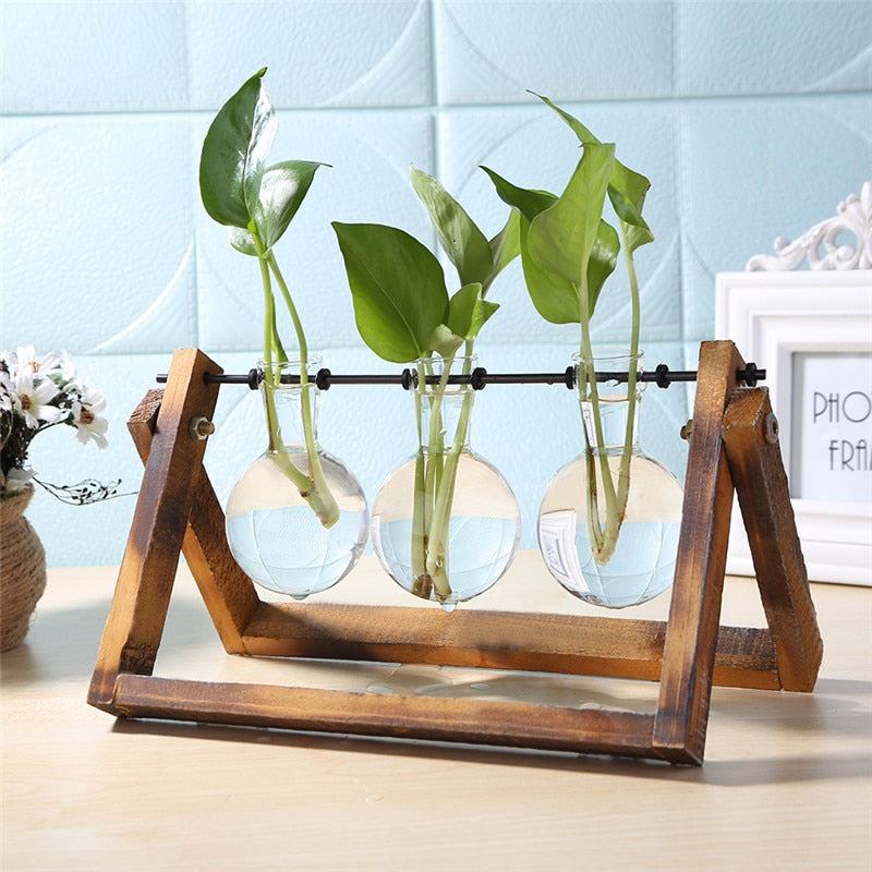 Glass and Wood Vase Planter.