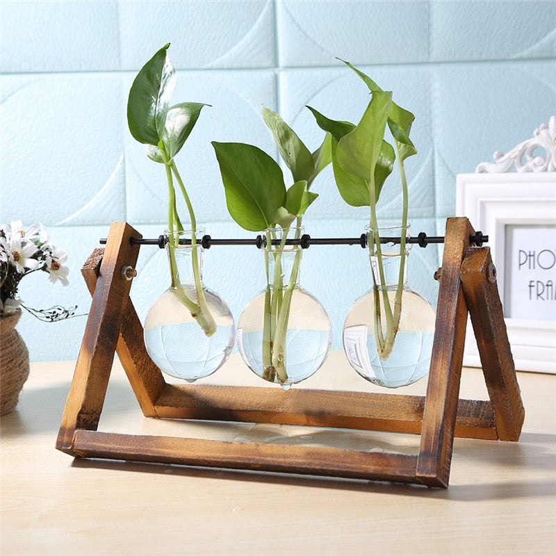 Glass and Wood Vase Planter - Realm of Wonders