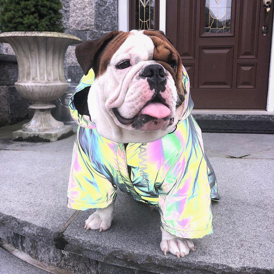Windproof and Rainproof Stormtrooper Coat North Dog Face for Medium Large Dog.