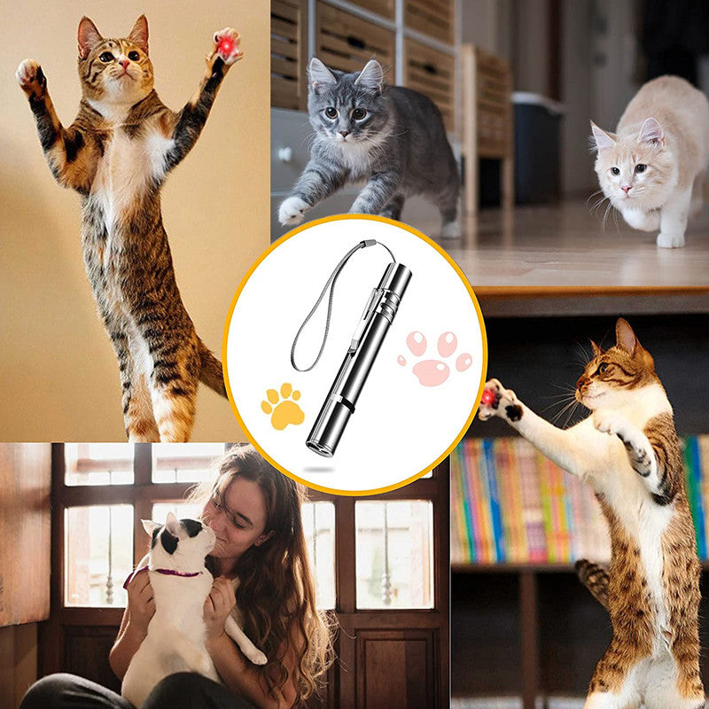 Multiple Design Laser Pointer for Cats (USB Charging)