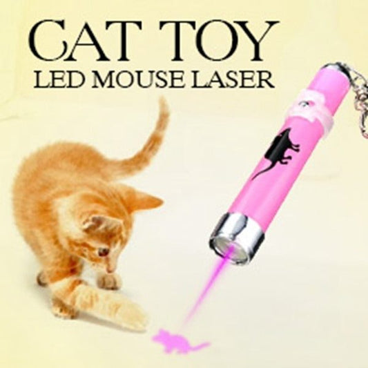 LED Pointer Pen w/ a Cat Inspired Mouse Shape.