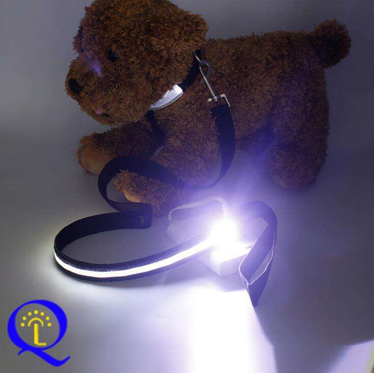 Multi-Color LED Pet Leash.