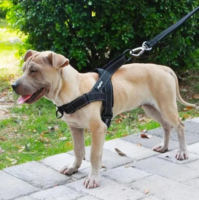 PetSafe Easy Walk No-Pull Dog Harness - The Ultimate Harness to Help Stop Pulling - Take Control & Teach Better Leash Manners - Helps Prevent Pets Pulling on Walks - Medium/Large, Black/Silver/Rose/Blue.