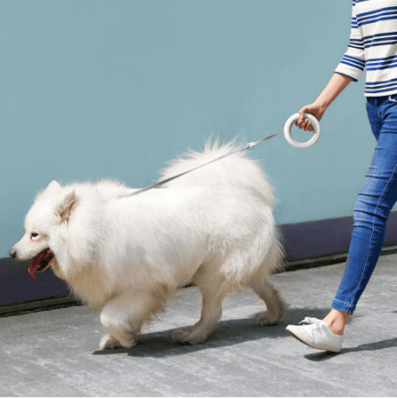 UFO Style LED Multicolor light up Retractable Pet Leash.
