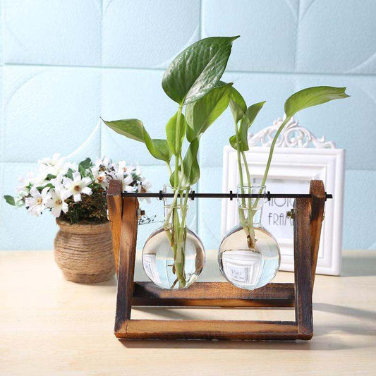 Glass and Wood Vase Planter.