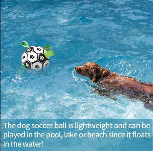 PawPal Playful Pup Soccer Bal