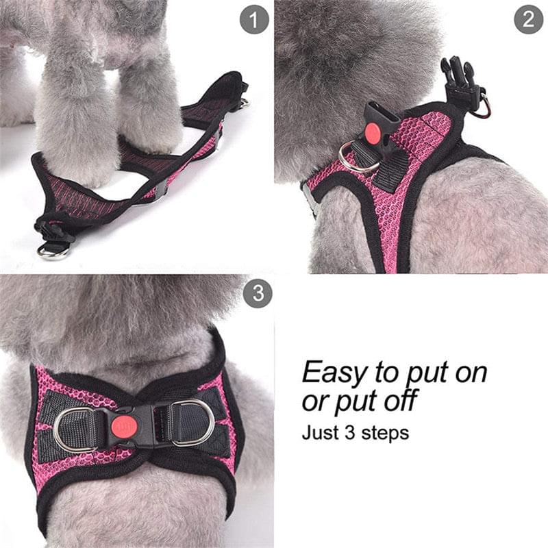 Reflective Harness & Dog Leash.