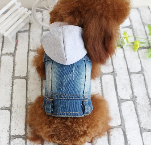 Embroidered Pet Denim Jacket