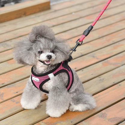 Reflective Harness & Dog Leash.