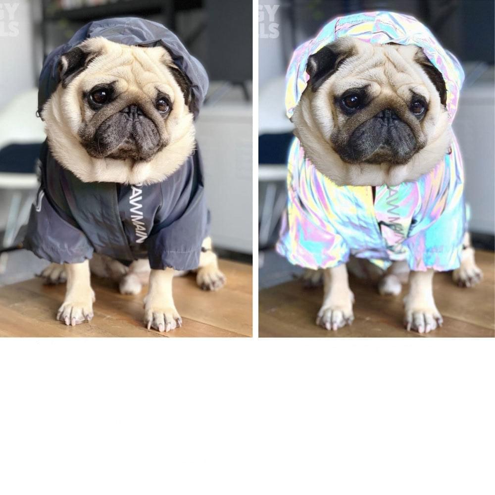Windproof and Rainproof Stormtrooper Coat North Dog Face for Medium Large Dog.