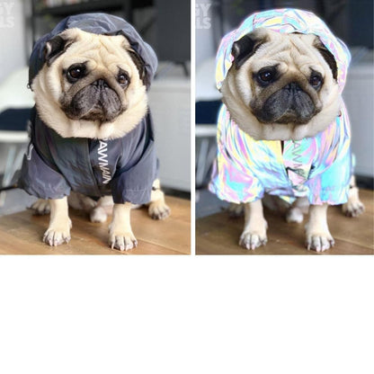 Windproof and Rainproof Stormtrooper Coat North Dog Face for Medium Large Dog.