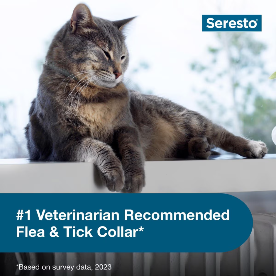 Seresto Cat Flea and Tick Collar for pest Prevention and Protection - 1 Pack - Last 8 Months