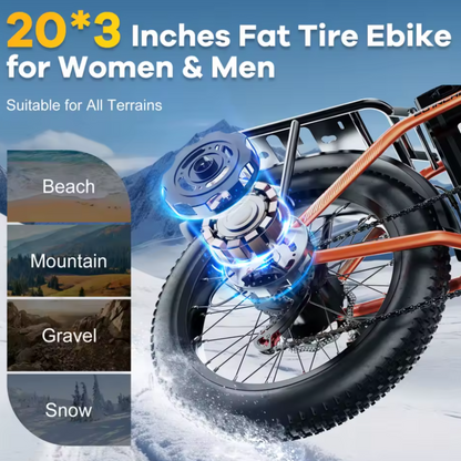 1000W Folding Electric Bike 48V