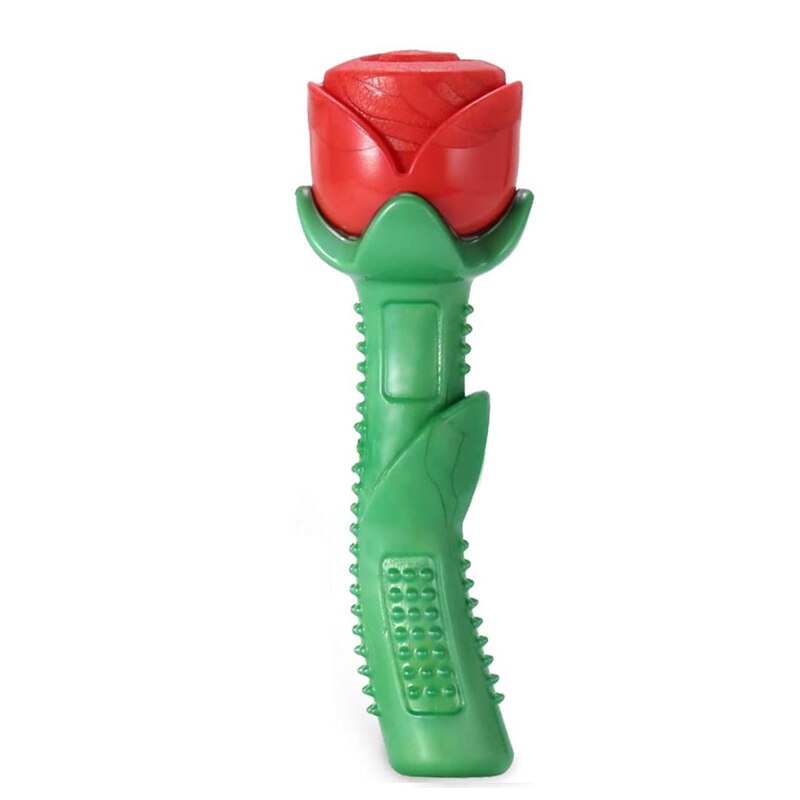 ChewClean Canine Dental Delight