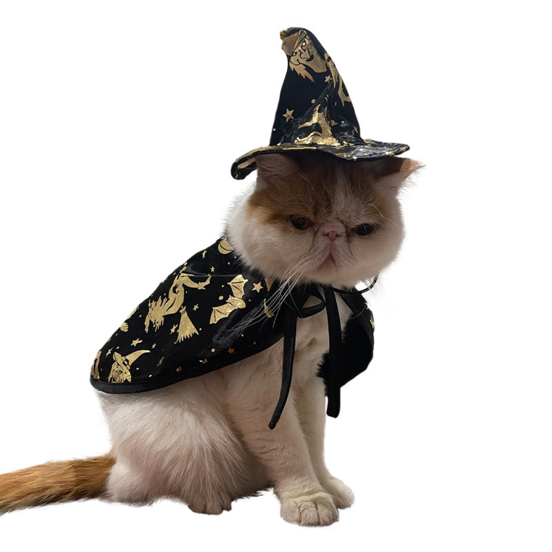 Catty Wizardry: Halloween Witch Cloak for Your Purr-fect Disguise