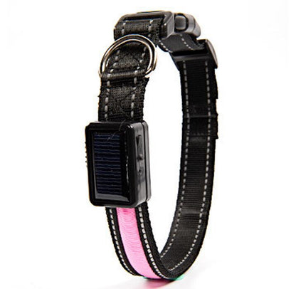 Solar Flare Pet Collar: LED Solar Luminous, Stylish Safety for Your Furry Friend