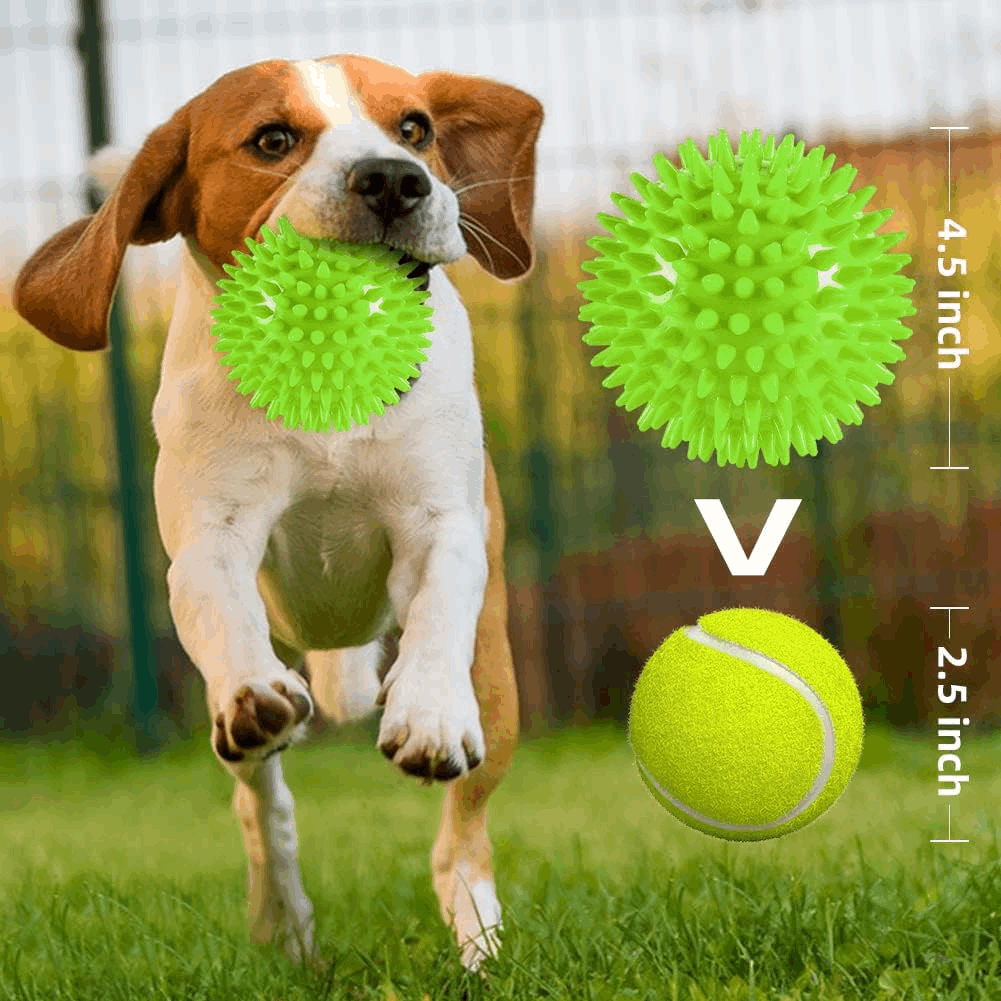 2.5” Squeaky Interactive Dog Balls for Puppy Teething Chew Toys for Small Dogs for Clean Teeth and Training.