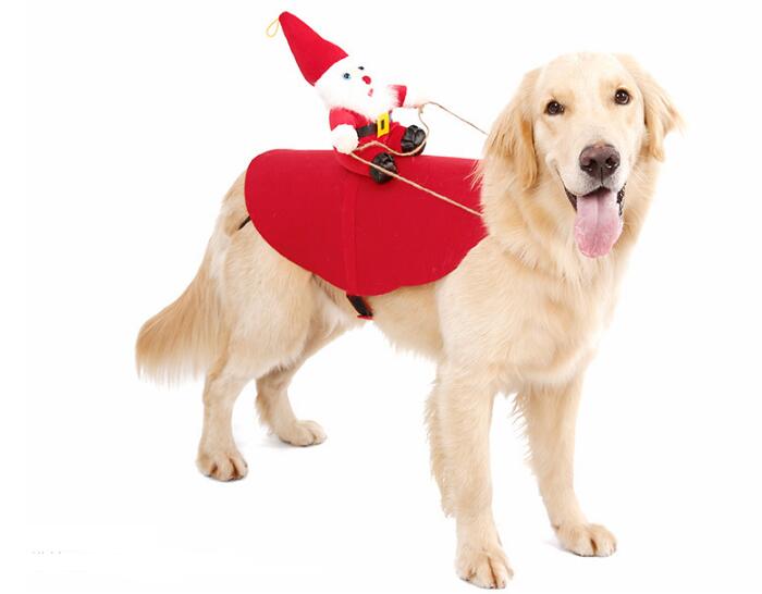 Santa's Pet Sleigh-Ride Christmas Costume