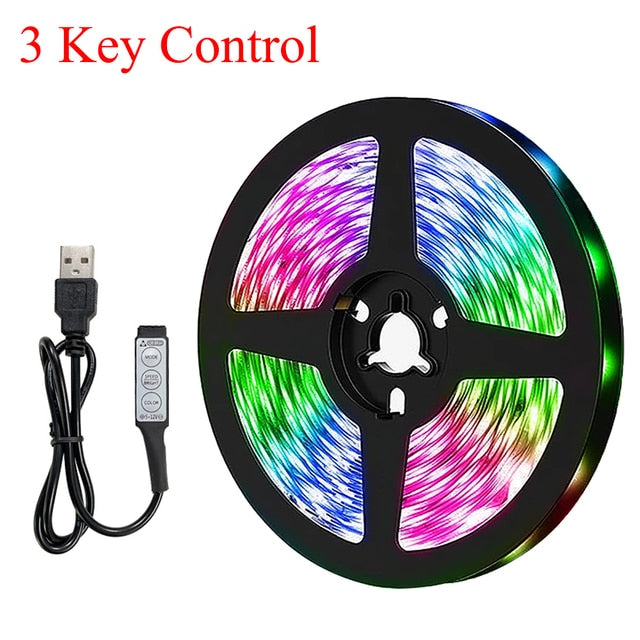 Remote LED Strip Lights