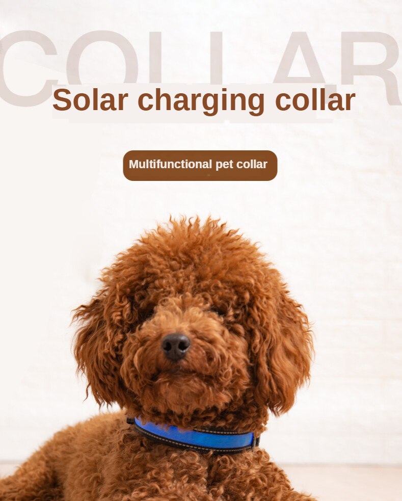 Solar Flare Pet Collar: LED Solar Luminous, Stylish Safety for Your Furry Friend