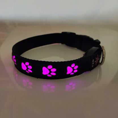 GlowGuard Pet Collar: LED Rechargeable Safety and Anti-Loss Light for Paws