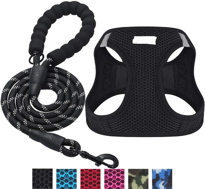 Reflective Harness & Dog Leash.