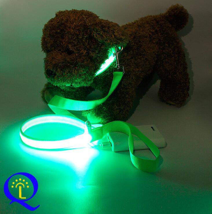 Multi-Color LED Pet Leash