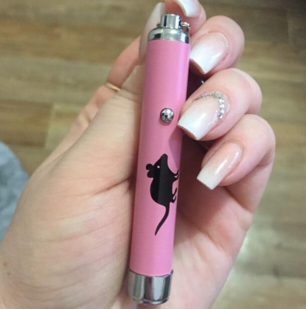 LED Pointer Pen w/ a Cat Inspired Mouse Shape