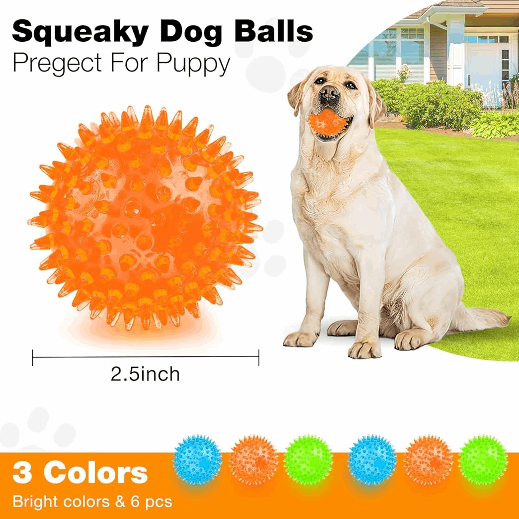 2.5” Squeaky Interactive Dog Balls for Puppy Teething Chew Toys for Small Dogs for Clean Teeth and Training.