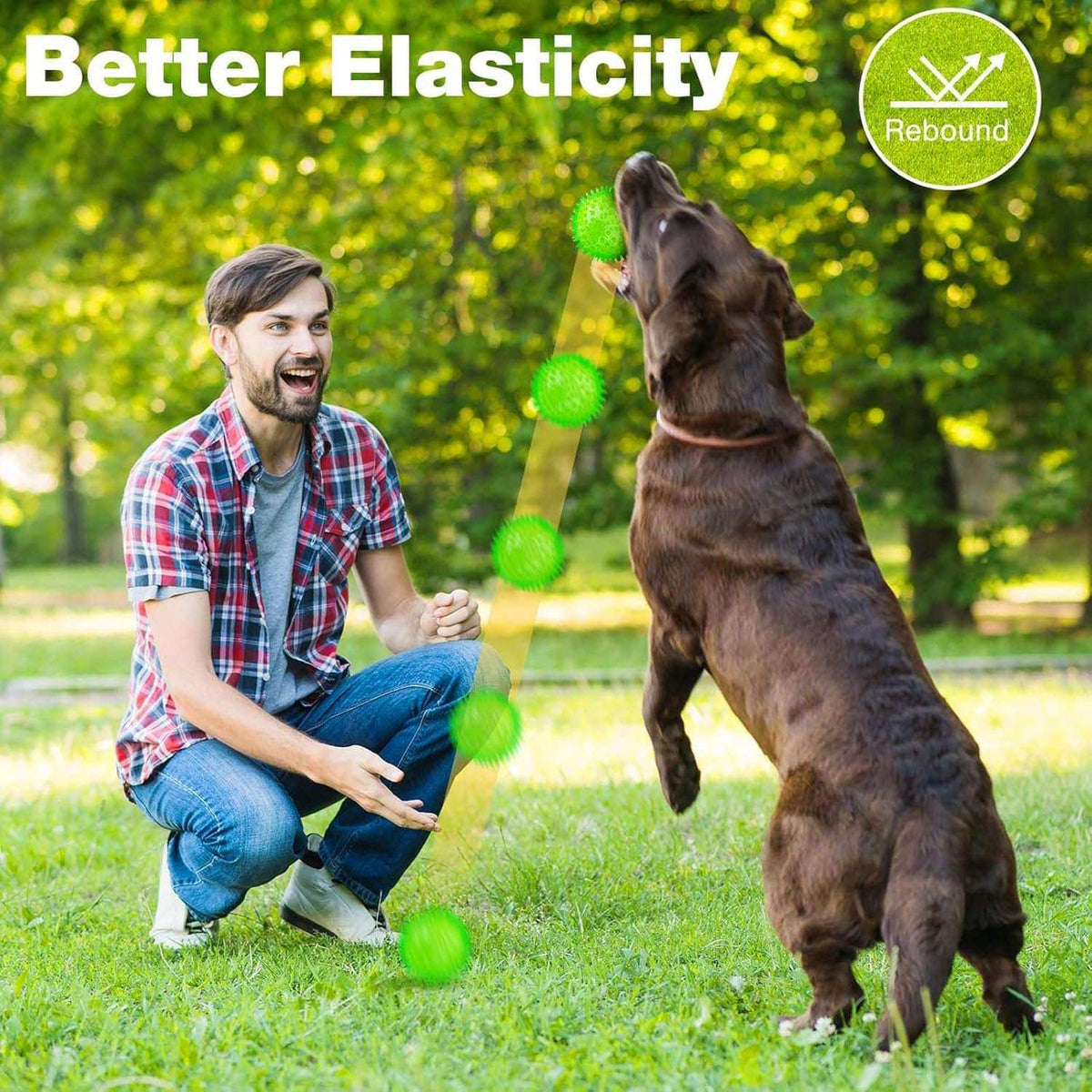 2.5” Squeaky Interactive Dog Balls for Puppy Teething Chew Toys for Small Dogs for Clean Teeth and Training.