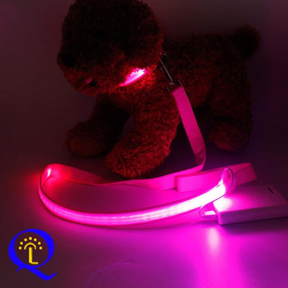 Multi-Color LED Pet Leash