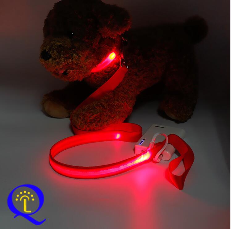 Multi-Color LED Pet Leash