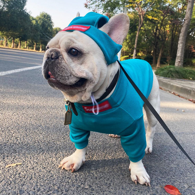 Urban Pup Swagger: Coat & Hat Combo