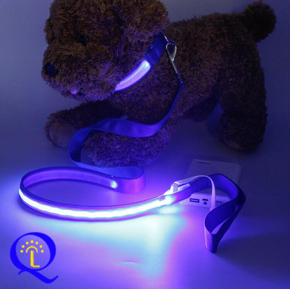 Multi-Color LED Pet Leash