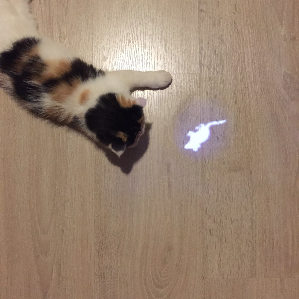 LED Pointer Pen w/ a Cat Inspired Mouse Shape