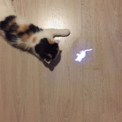 LED Pointer Pen w/ a Cat Inspired Mouse Shape