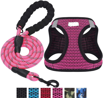 Reflective Harness & Dog Leash.