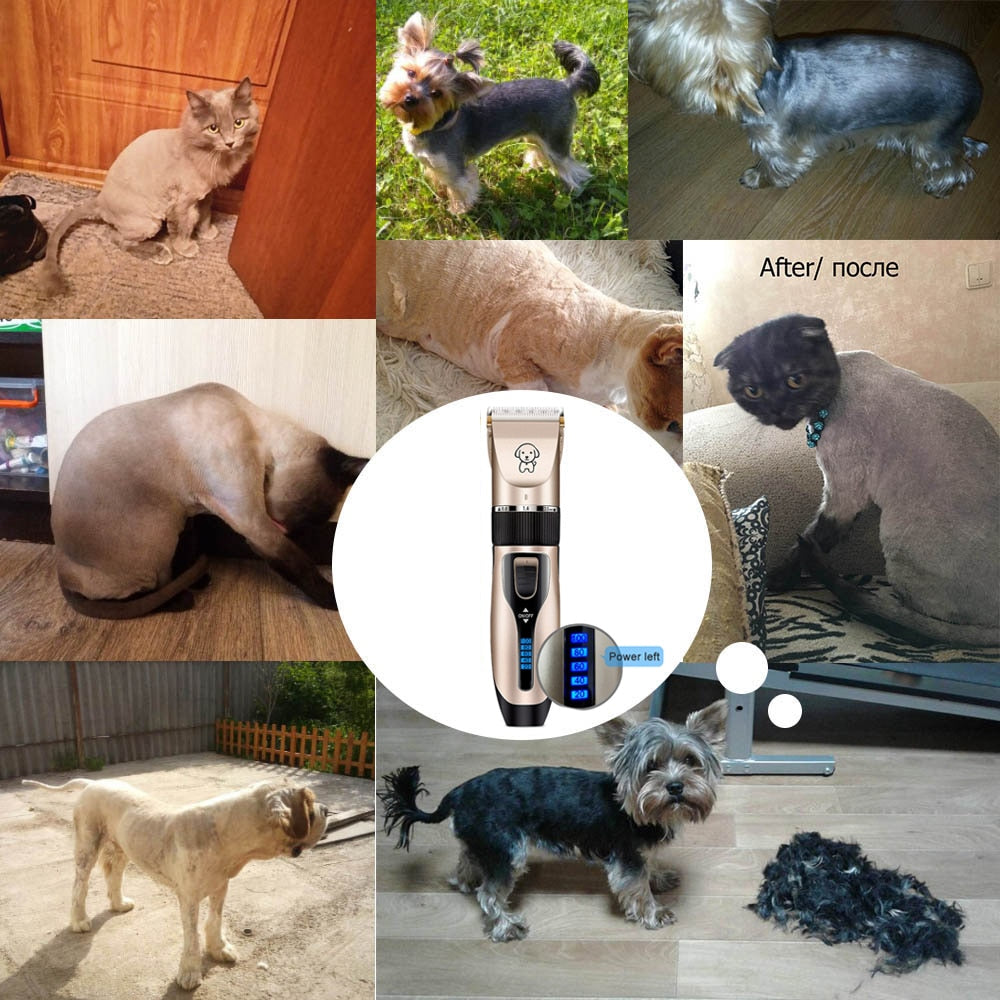 Professional Pet Hair clippers Cat or Dog (Low Noise)
