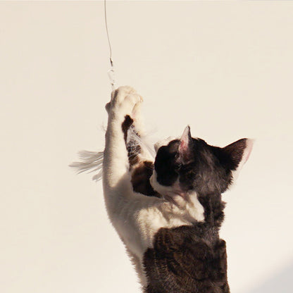 Feather Frenzy: Telescopic Chicken Stick Cat Wand Toy