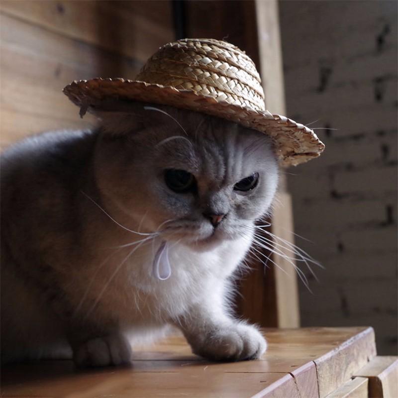 Island Paws Handcrafted Woven Pet Sun Hat