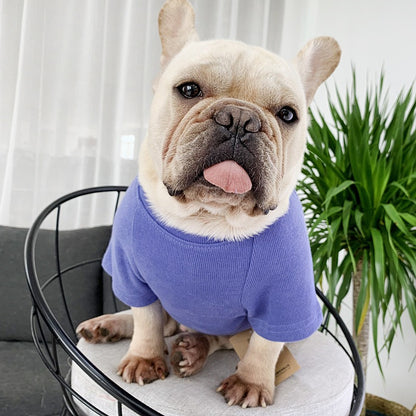 Embroidered Pet Duo: Matching Long-Sleeved T-Shirts