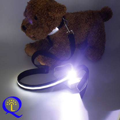 Multi-Color LED Pet Leash